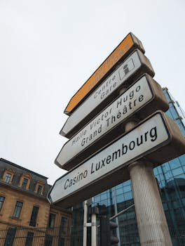 Pikavippi Ilman Palkkatodistusta: Nopea Ja Vaivaton Rahoitusvaihtoehto